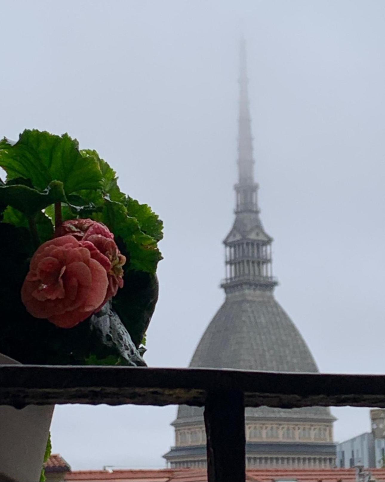 Apartament Le Finestre Sulla Mole Turyn Zewnętrze zdjęcie